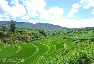 177 - Shaxi